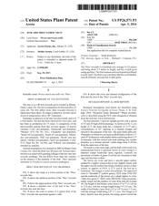 Plant Patent PP26571