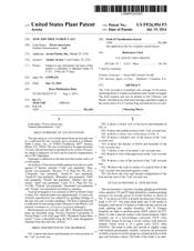 Plant Patent PP26954
